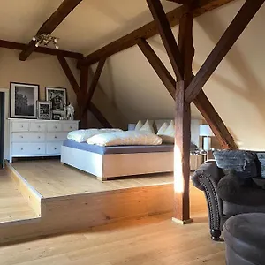 Altbauwohnung Mit Fachwerk Anif